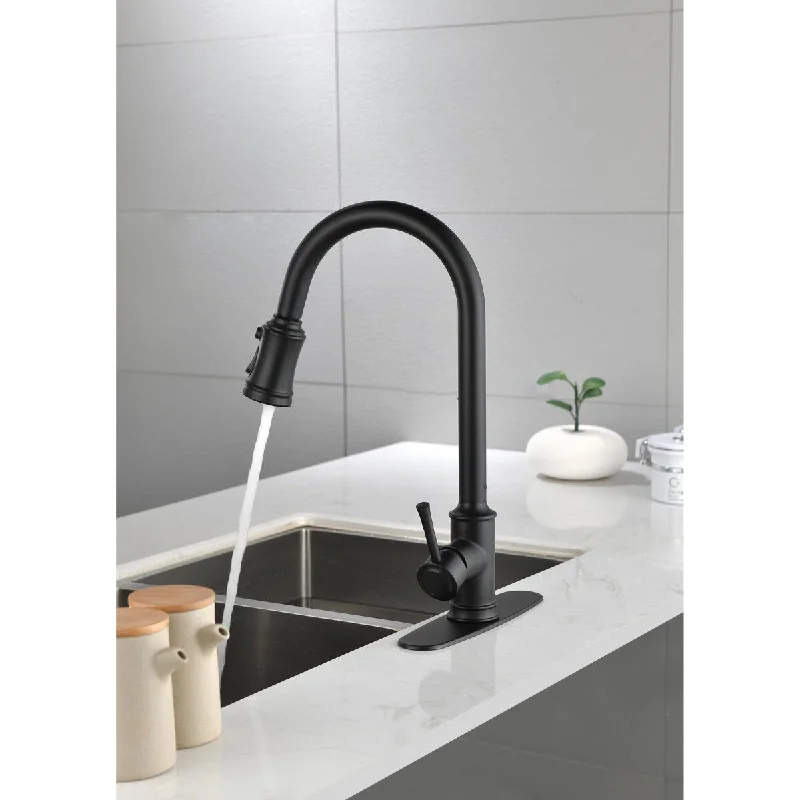 Xela Pull Out Single Handle Kitchen Faucet With Accessories